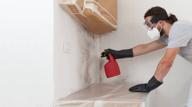 Professional Mold Cleanup technician working in Medina, TX
